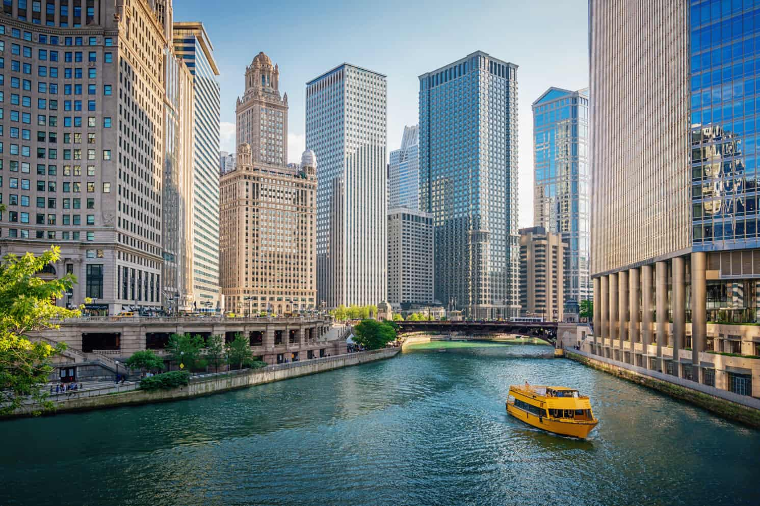 Typical yellow tour boat cruising down the Chicago River, surrounded by the iconic skyscrapers of downtown Chicago